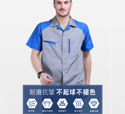 大连猫咪视频APP官网厂家