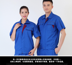 大连猫咪视频APP官网制定