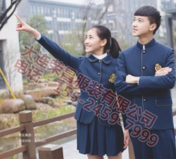铁岭猫咪在线视频厂家