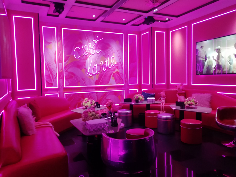 猫咪在线视频設計公司 猫咪在线视频設計公司