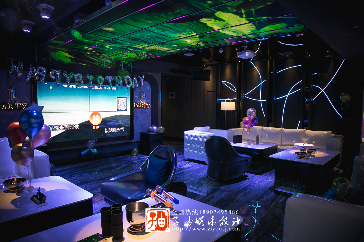 猫咪在线视频設計