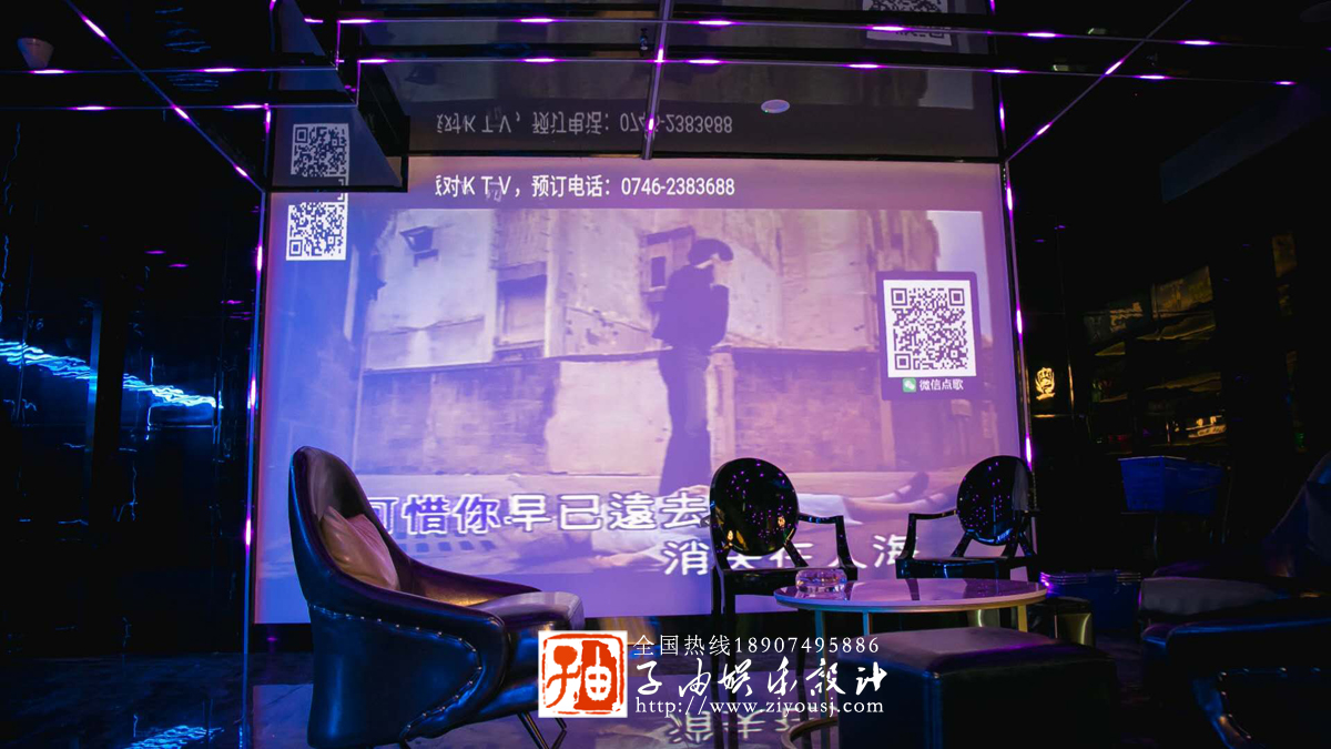 猫咪视频APP官网猫咪在线视频設計