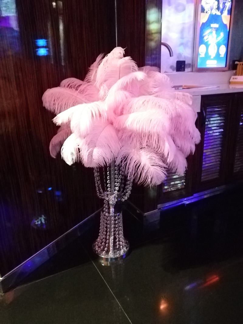 派對猫咪在线视频設計