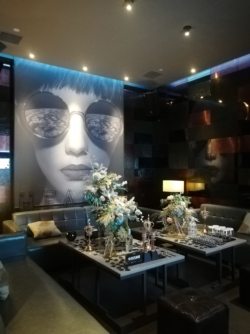 派對猫咪在线视频設計